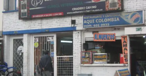 CLINICA VETERINARIA CACHORROS Y CACHORRITOS SAN PEDRO PLAZA CLINICA VETERINARIA CACHORROS Y CACHORRITOS SAN PEDRO PLAZA